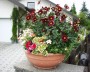 schale_1