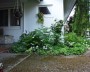 schattenbeet_1